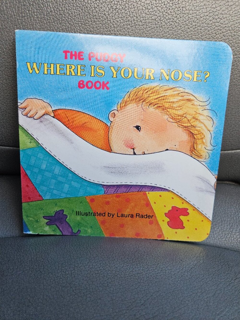 The Pudgy Where Is Your Nose Book